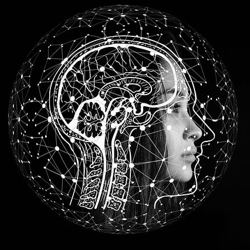 7 Increasing Concerns Authors Have About Their Work Being Used to Train AI Models