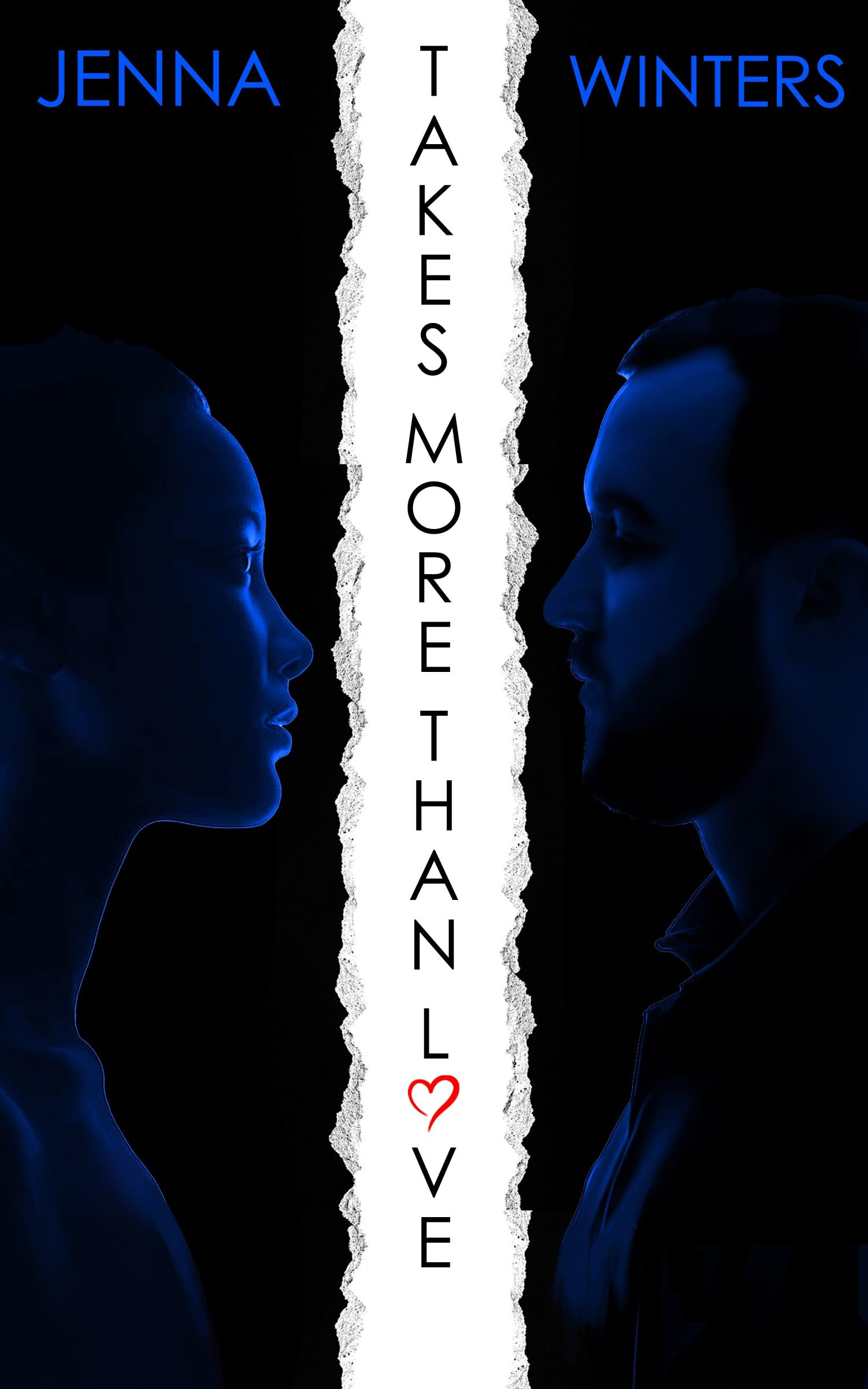Takes More Than Love: A memoir of racial trauma, marriage, and finding your voice