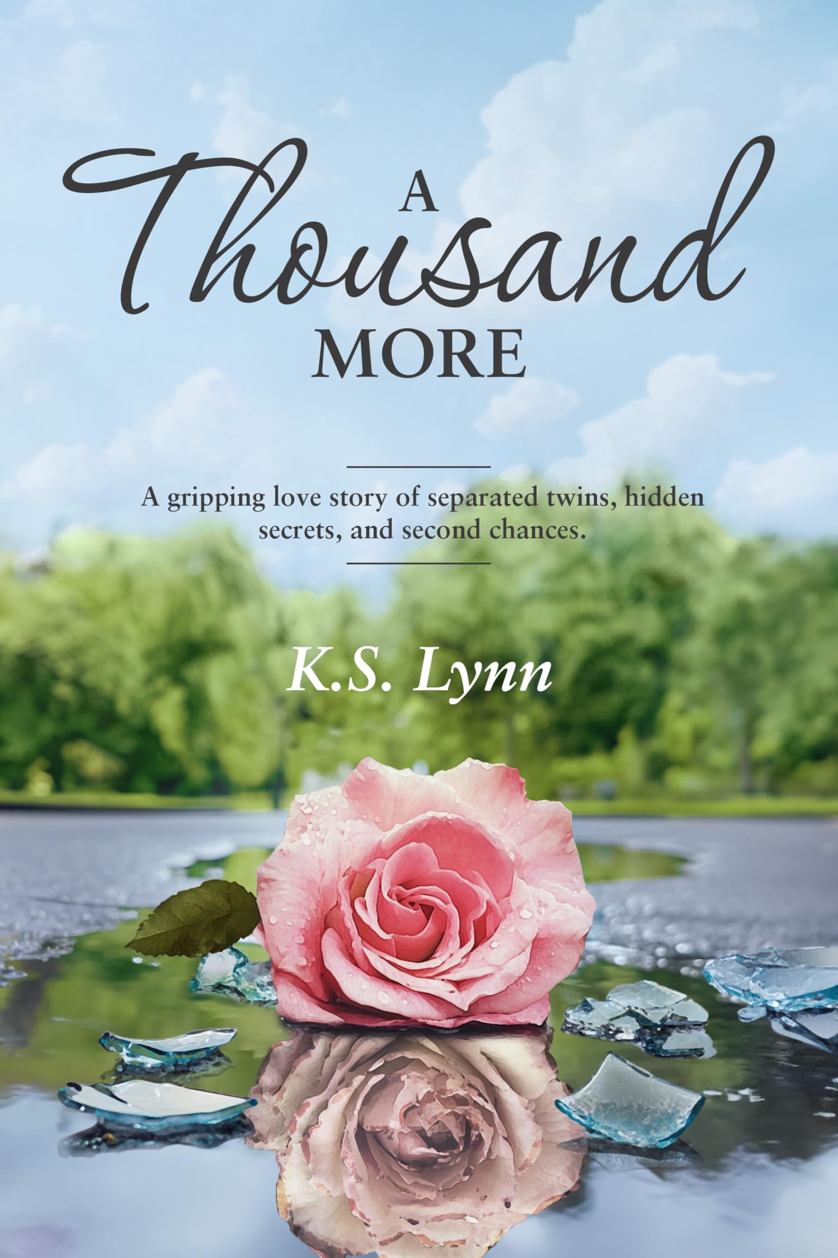A Thousand More: A gripping love story of separated twins, hidden secrets, and second chances
