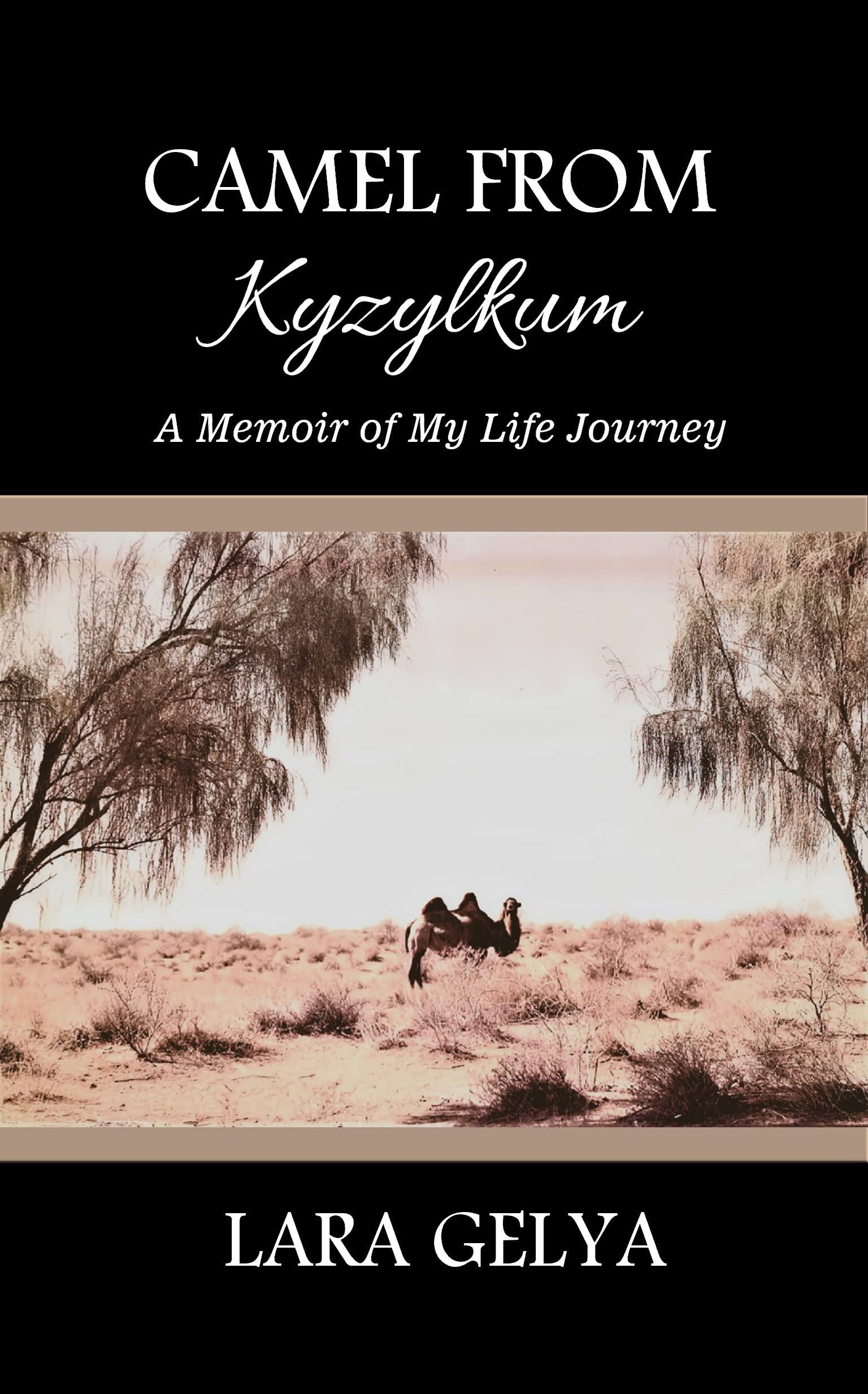 Camel from Kyzylkum