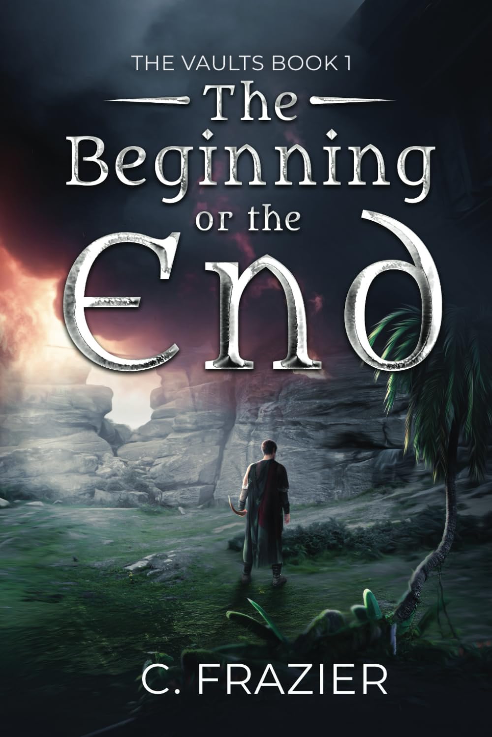 The Vaults book 1 the bieginning or the end